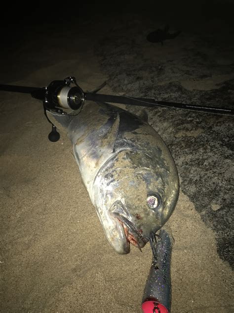 Exmouth shore based GT success | Fishing - Fishwrecked.com - Fishing WA
