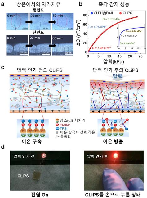 한양대 김도환 교수 물리적 손상과 촉각이 스스로 복원되는 자가치유 전자피부 개발