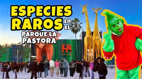 GRINCH En Parque La Pastora UNA NOCHE DE TRAVESURAS YouTube