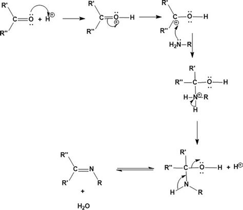 Schiff Bases And Their Metal Complexes Synthesis Structural