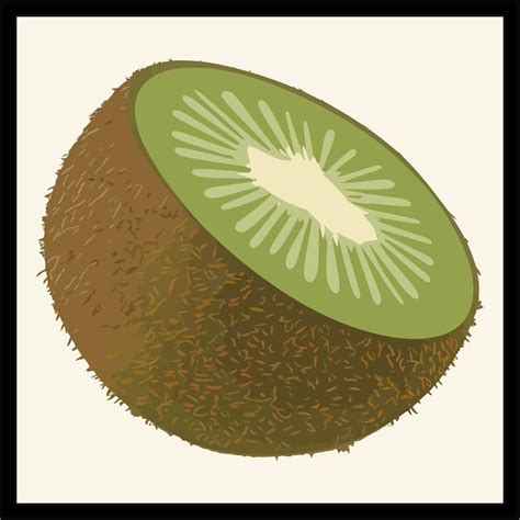 Ilustraci N Vectorial De Colores De Los Kiwis Vector Premium