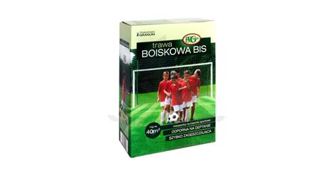 Mieszanka Traw Kwalifikowana Boiskowa Bis Kg Sklep Plantini Pl