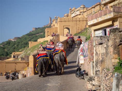 1,025 Amber Fort Elephant Ride Stock Photos - Free & Royalty-Free Stock ...