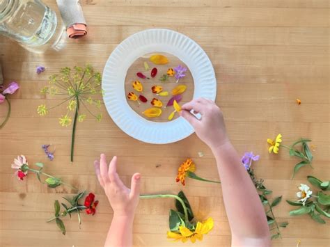 How to Make a Suncatcher Leaf Craft — JINZZY