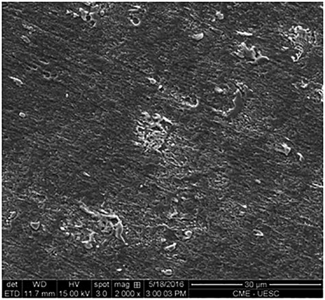 SEM Micrograph Of AISI 1020 Carbon Steel After 2 H Immersion In HCl 0 5