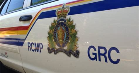 Motorcyclist Killed In Collision With Deer West Of Calgary Calgary