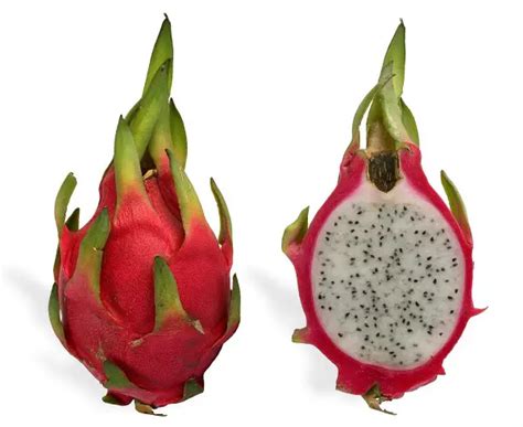 Random Fruit Generator Generatormix