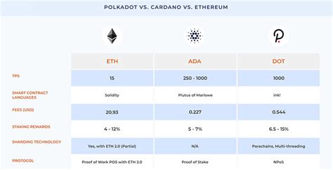 Cardano Vs Polkadot Which One Is Better Moralis Academy