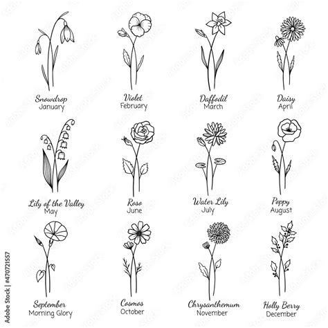 Birth Month Flowers Set Hand Drawn Flowers Set Silhouette Vector Flat