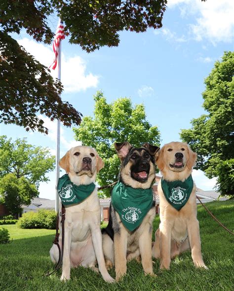 The Seeing Eye Seeks Volunteer Puppy Raisers