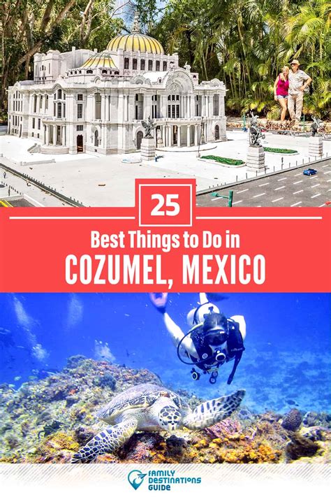 25 Best Things To Do In Cozumel Mexico For 2024