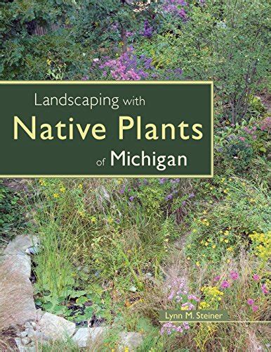 Michigan Native Plants List: 14 Amazing Landscaping Choices