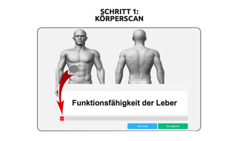 Der Algorithmus Coachingalgorithmus