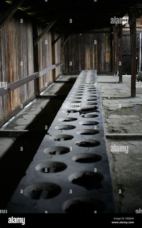 Wc Raum In Das Konzentrationslager Auschwitz Birkenau Polen Europa