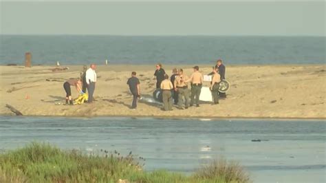 Barrel With Body Inside Found At Malibu Beach Nbc Los Angeles