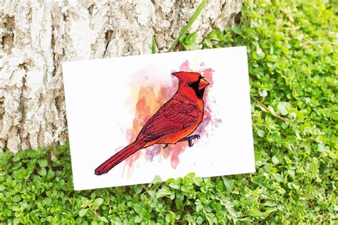 Watercolor Cardinal Bird Art Print - Etsy