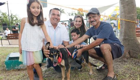 Esterilizaciones De Mascotas En M Rida Van M S De En El A O