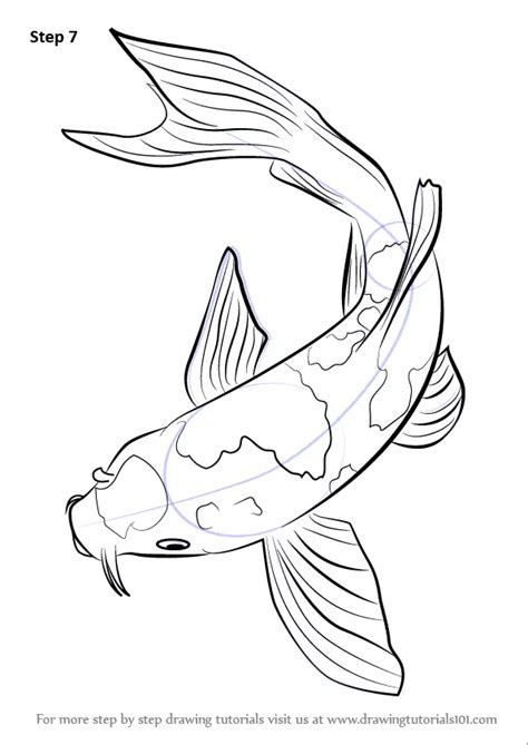 Learn How To Draw A Koi Fish Fishes Step By Step Drawing Tutorials