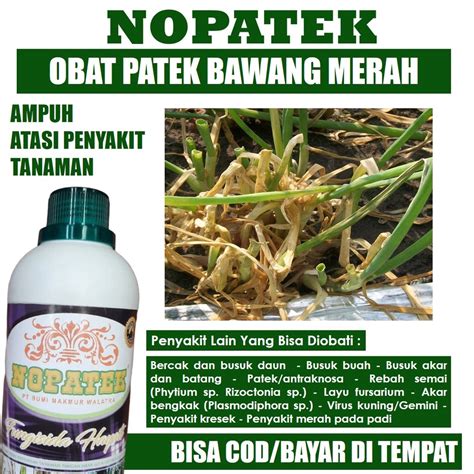 Jual Promo Nopatek Fungisida Hayati Obat Hama Patek Bawang Merah