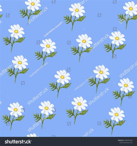 White Daisy Blue Background Seamless Stock Illustration 1985007608 | Shutterstock