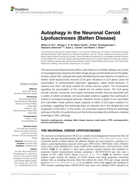 Pdf Autophagy In The Neuronal Ceroid Lipofuscinoses Batten Disease