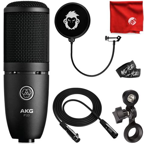AKG P120 Cardioid Condenser High-Performance General Purpose Recording ...