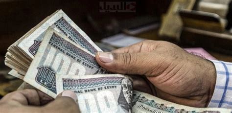 صحيفة الوطن المصرية عاجل تفاصيل صرف زيادة جديدة في معاشات 4 نقابات