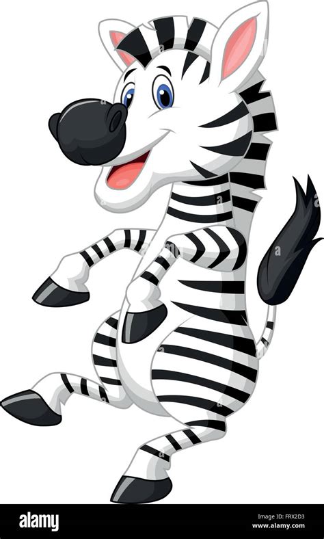 Cute Zebra Cartoon Dancing Stock Vector Image And Art Alamy