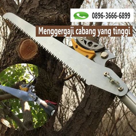 Harga Gergaji Dahan Ranting Pohon Murah Terbaru Hargano