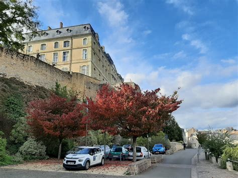 Meurtre En Sarthe Suspecté Davoir Tué Un Homme Par Arme à Feu Il