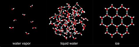 Atoms And Molecules E Chapter — The Biology Primer