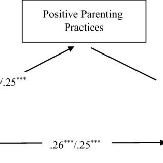 Standardized Path Coefficients Of The Full Moderated Mediation Models