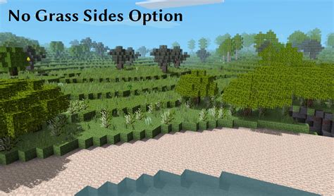 Minecraft Grass Texture Side