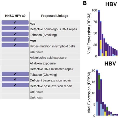 Mutation Profile Signatures Unique To Viral Genotypes A Table Of