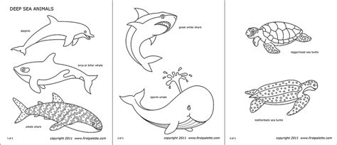 Ocean Animals Pictures Printable