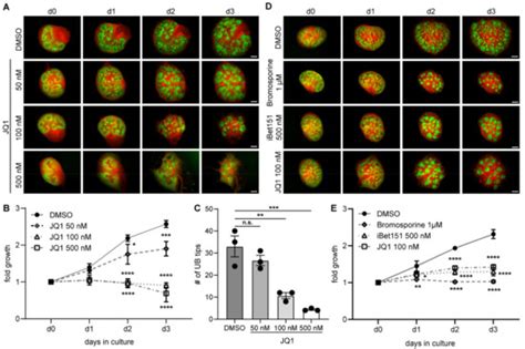 Biomedicines Free Full Text Bet Proteins Regulate Expression Of