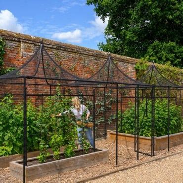 Walk In Steel Fruit Cages Harrod Horticultural