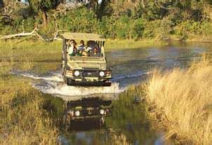 Quand partir en safari en Afrique climat et météo voyages circuits