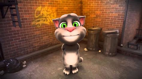 information  talking tom cat  prototype fandom