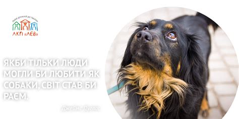 ЛКП ЛЕВ