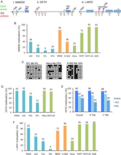 Differential Methylation Of Pluripotency Associated Genes Nanog Oct4 Download Scientific