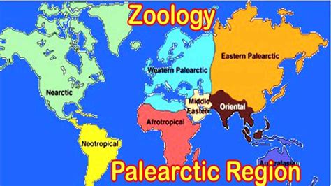 Write A Detailed Note On Palearctic Region