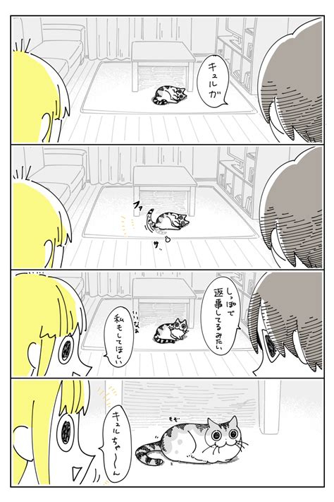 しっぽで返事｜ねこナビ