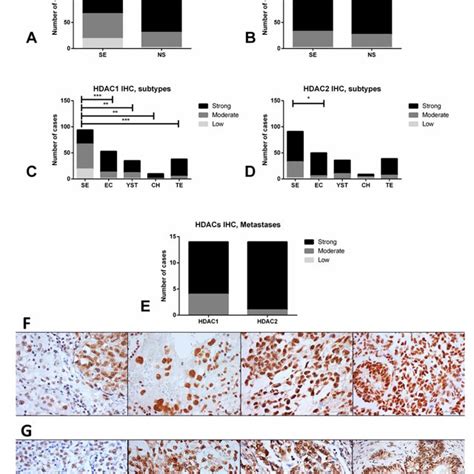 Differential Immunoexpression Of Hdac1 And Hdac2 In Tgct Samples Ab