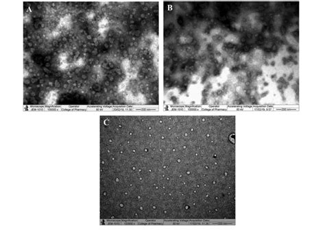 TEM images of LORNE10 (A), LORNE11 (B), and LORNE12 (C). | Download ...