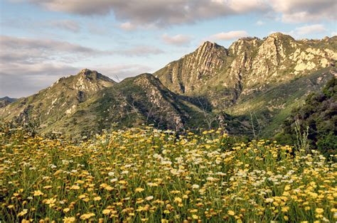 Santa Monica Mountains National Recreation Area Calabasas CA