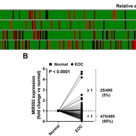 The Expression Of Mir 592 In Ovarian Tumor Tissues A A Heatmap Of