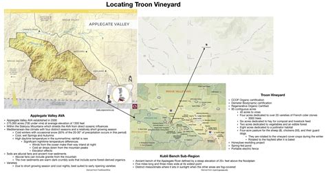 Wine Mise En Abyme Troon Vineyard Applegate Valley Ava Oregon