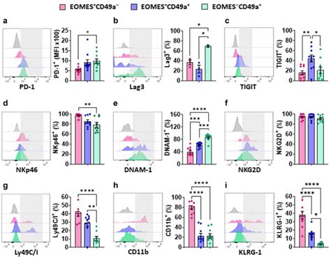 EOMES NK Cells Exhibit An Exhausted Phenotype In The Mammary Tumors