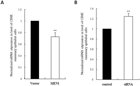 The Rna Expression Of Csnk Casein In Mammary Epithelial Cells Was